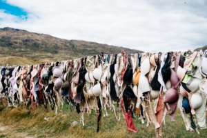 Cardrona bra fence