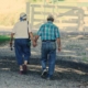 Elderly man and woman walking and holding hands