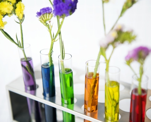 test tubes of coloured liquid with flowers in them