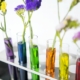 test tubes of coloured liquid with flowers in them