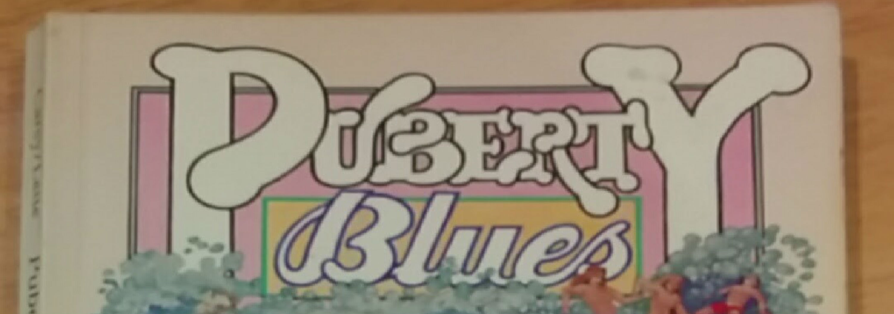 Book cover title "Puberty Blues"